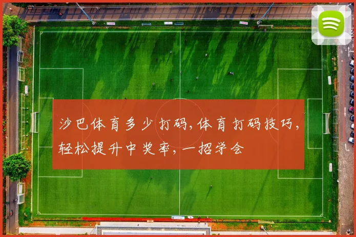 沙巴体育多少打码,体育打码技巧,轻松提升中奖率,一招学会