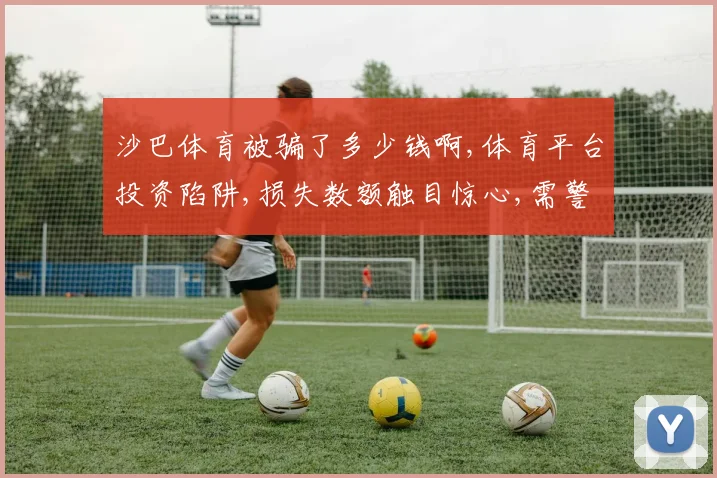 沙巴体育被骗了多少钱啊,体育平台投资陷阱,损失数额触目惊心,需警惕