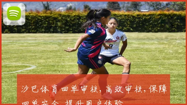沙巴体育回单审核,高效审核,保障回单安全,提升用户体验
